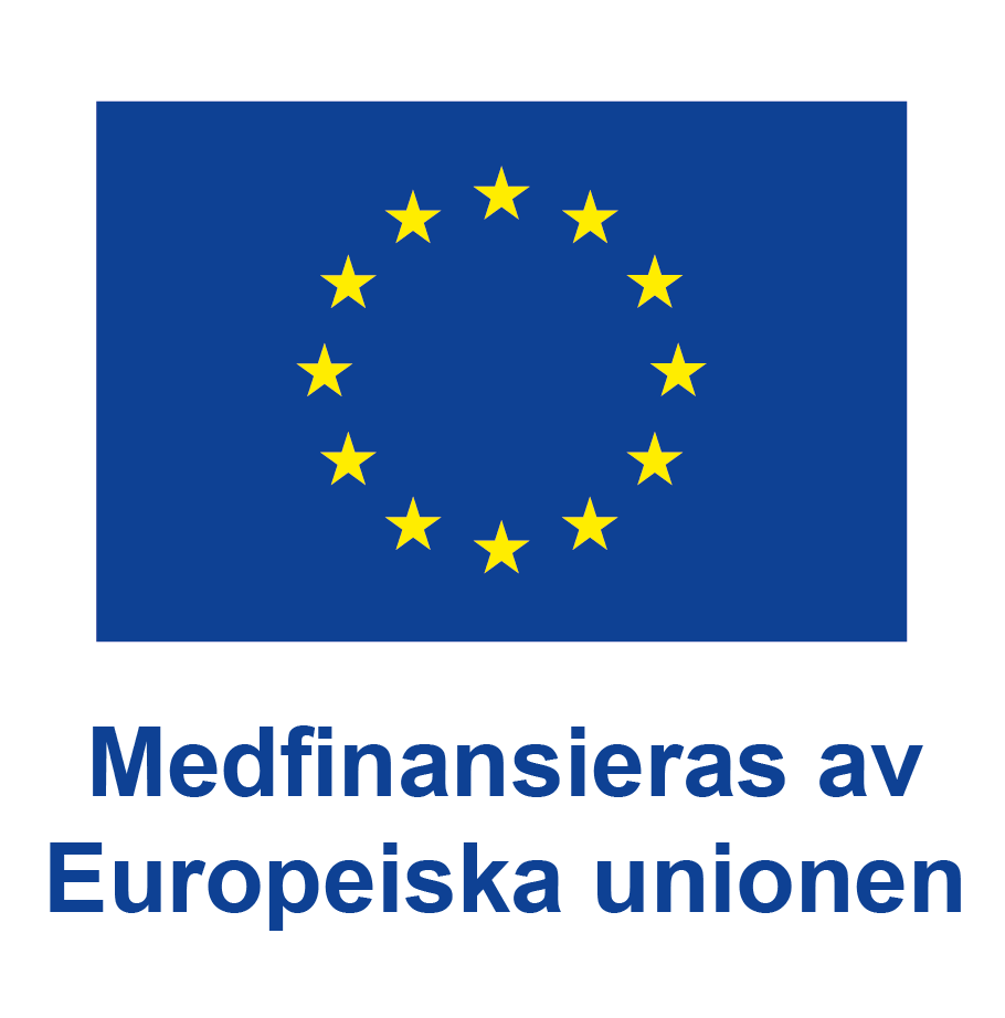 Logotyp EU-flagga och texten Medfinansieras av Europeiska Unionen