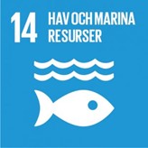 Agenda 2030 - mål 14 Hav och marina resurser